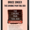 Bruce Singer – The Chronic Pain Tool Box, Effective Interventions for Treating Complex Chronic Pain