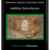 John Overdurf – Splitting Synesthesias within the Rhizome