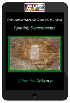 John Overdurf – Splitting Synesthesias within the Rhizome