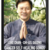 Luke Chan – Cancer Self-Healing Gongs