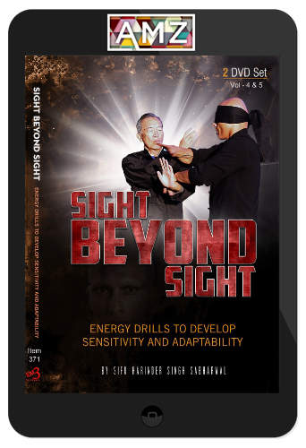 Harinder Singh Sabharwal – Sight Beyond Sight