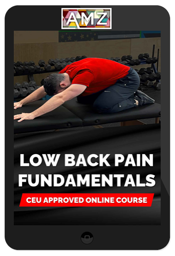 Michael Mash – Low Back Pain Fundamentals