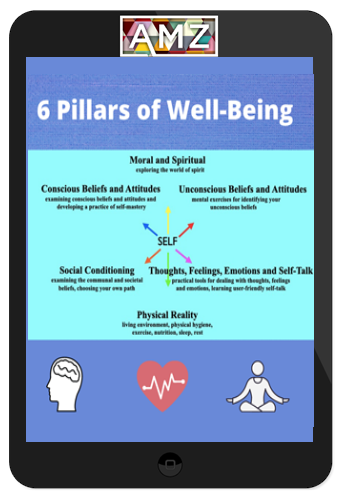 Peter Reznik – 6 Pillars of Well-Being