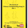 Sifu Sergio – The Secret of Chinese Chain Punching