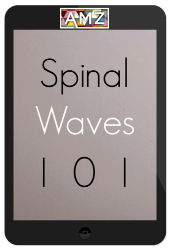 Jon Yuen – Spinal Waves 101