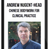 Andrew Nugent-Head – Chinese Bodywork for Clinical Practice
