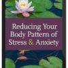 David Zemach-Bersin – Reducing Your Body Pattern of Stress & Anxiety