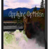 Court of Atonement – Applying Optimism