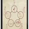 Tom Bisio - Five Animal Play Qi Gong Online Learning Program