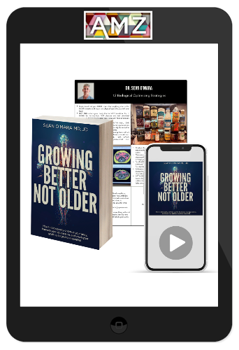 12 Strategies, e-Book, Audiobook