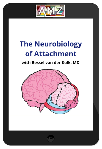 NICABM – The Neurobiology Of Attachment