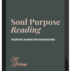 Cat Skreiner – Soul Purpose Activation Bundle