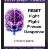 Gillis Bradley – Reset Fight Flight Freeze Response