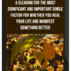 A Clearing for The Most Significant and Important Single Factor for Whether You Heal Your Life and Manifest Something Better: A Clearing for Self-Esteem
