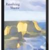 Steve Andreas – Resolving Shame