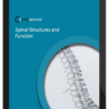 CHEK Institute - Spinal Structures & Function