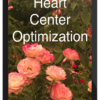 Court of Atonement – Heart Center Optimization