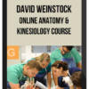 Online Anatomy and Kinesiology Course – David Weinstock