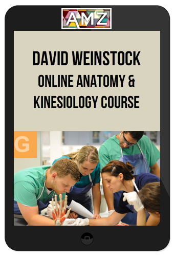 Online Anatomy and Kinesiology Course – David Weinstock