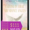 Kari Sammels – Calling In Your Abundance Angels