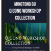 Mingtong Gu – Qigong Workshop Collection