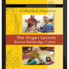 Bonnie Bainbridge Cohen – Embodied Anatomy And The Organ System