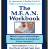 The Overwhelmed Brain – The M.E.A.N. Workbook: An Assessment and Healing Guide For Difficult and Emotionally Abusive Relationships