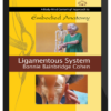 Bonnie Bainbridge Cohen – Embodied Anatomy And The Ligamentous System