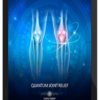 Eric Thompson – Quantum Joint Relief