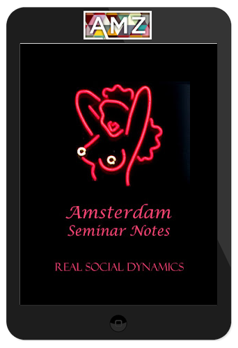 Real Social Dynamics – Amsterdam Seminar Notes