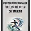Phoenix Mountain Tai Chi - The Essence of Tai Chi Striking