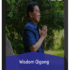 Mantak Chia – Wisdom Qigong