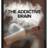 Thad Polk – The Addictive Brain