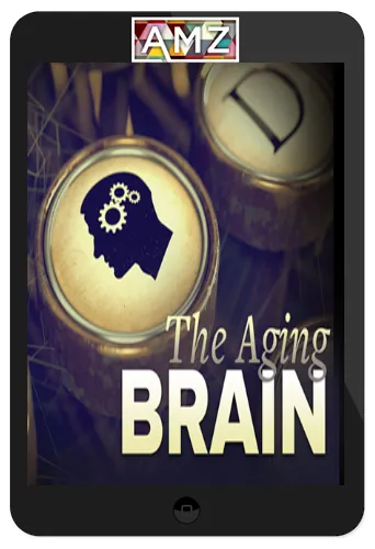 Thad Polk – The Aging Brain