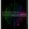 Ken Wilber – Full Spectrum Mindfulness