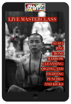 Yan Lei – Xi Sui Jing (Bone Marrow Cleansing) Qigong & Fighting Punches & Kicks - LIVE Masterclass.