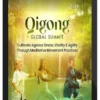 Qigong Global Summit 2019